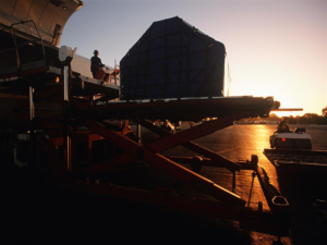 Seafood shipment lands and is unloaded.